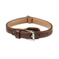 thumbnail image 1 of Aspen 18" (46cm) Brown Leather Collar, 1 of 1