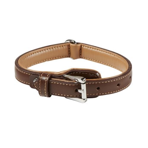 Aspen 18" (46cm) Brown Leather Collar