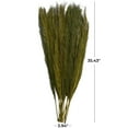 thumbnail image 3 of 35" Dried Plant Natural Foliage Leaves Bouquet with Feather Inspired Stems, by DecMode, 3 of 7