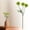 Green, variant on Clearance Under $3 Artificial Dandelion 3-Head Dandelion Spray For Living Room Vase Filler,Plastic Pink (1Pc)