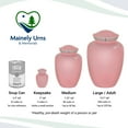 thumbnail image 4 of Hummngbird Cremation Urn - 6 Colors - 2 Sizes, 4 of 26