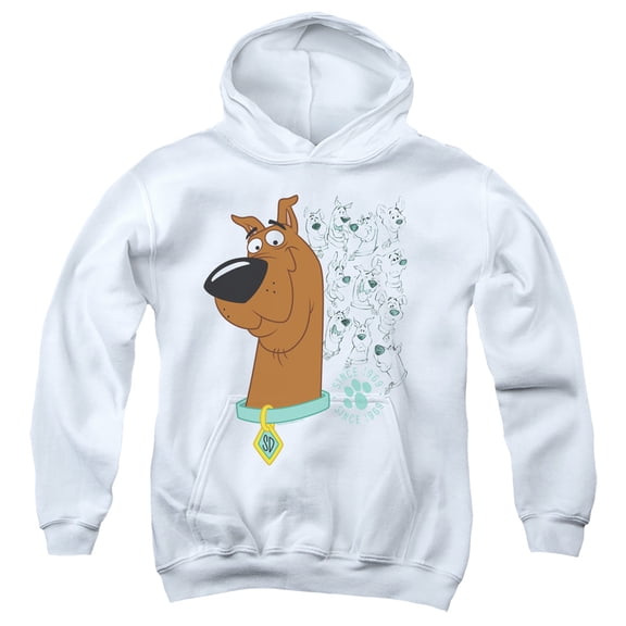 Scooby Doo - Evolution Of Scooby Doo - Youth Hooded Sweatshirt - Large