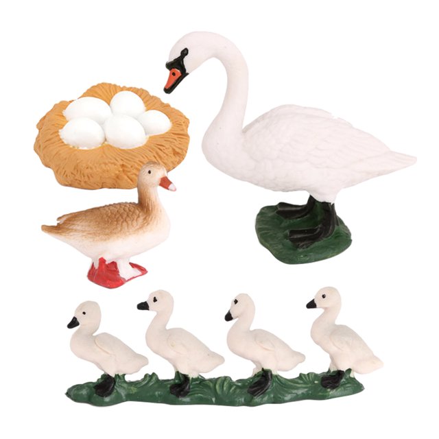 Conjunto de modelos de ciclo de de animales Juguete de salmón Colección de juguetes educativos para Sunnimix Juego de crecimiento de tortugas marinas