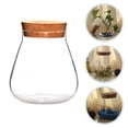 thumbnail image 3 of LEEYNEER Decorative Glass Plant Terrarium with Cork Stopper  Light Brown, 3 of 6