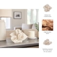 thumbnail image 5 of Decorative Coral Inspired Sculpture for Home, Bathroom, and Living Room Decor - Resin Ornaments for Shelf and Office Display  - Coastal Figurine for Coffee Table Decor - 6", Ivory & Tan, 5 of 12