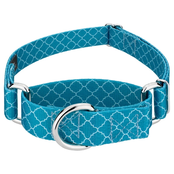 Country Brook Petz® Classy Chic Martingale Dog Collar Limited Edition, 2XS