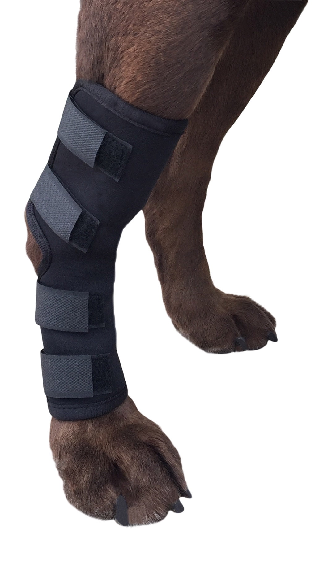 Labra store leg brace