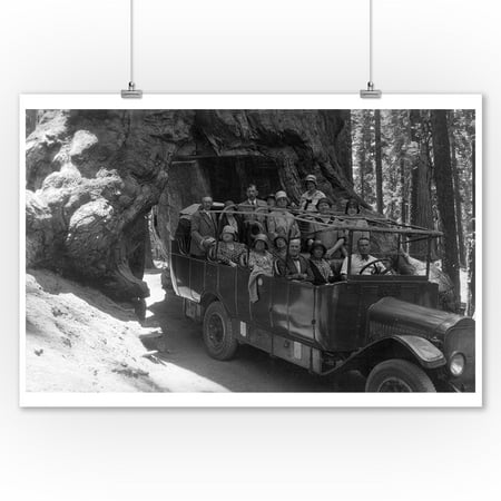 Yosemite Natl Park Map - Yosemite Nat'l Park, California - Tour Bus Under a Giant Redwood (9x12 Art Print, Wall Decor Travel Poster)