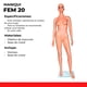 thumbnail image 2 of MANIQUI EXHIBIDOR MUJER CUERPO COMPLETO EXPOR FEM20, 2 of 6