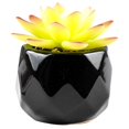 thumbnail image 1 of Artificial Succulent Plant Mini - Plastic Greenery Decoration Faux Potted Plant, 1 of 5