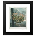 thumbnail image 2 of Robert John Thornton 15x18 Black Modern Framed Museum Art Print Titled - The Aloe. (1799-1807), 2 of 5