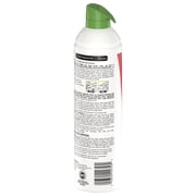 Raid Essentials Indoor Ant and Roach Killer Aerosol, 10 oz