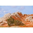 thumbnail image 2 of Friel, Bernard 18x13 Gold Ornate Wood Framed with Double Matting Museum Art Print Titled - USA-Arizona-Vermilion Cliffs National Monument White Pocket, 2 of 4