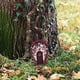 thumbnail image 5 of ¡Campaña con descuento!Puertas de hadas para árboles, puerta de hadas en miniatura para exteriores, decoración de árboles, accesorios de jardín, 5 of 8