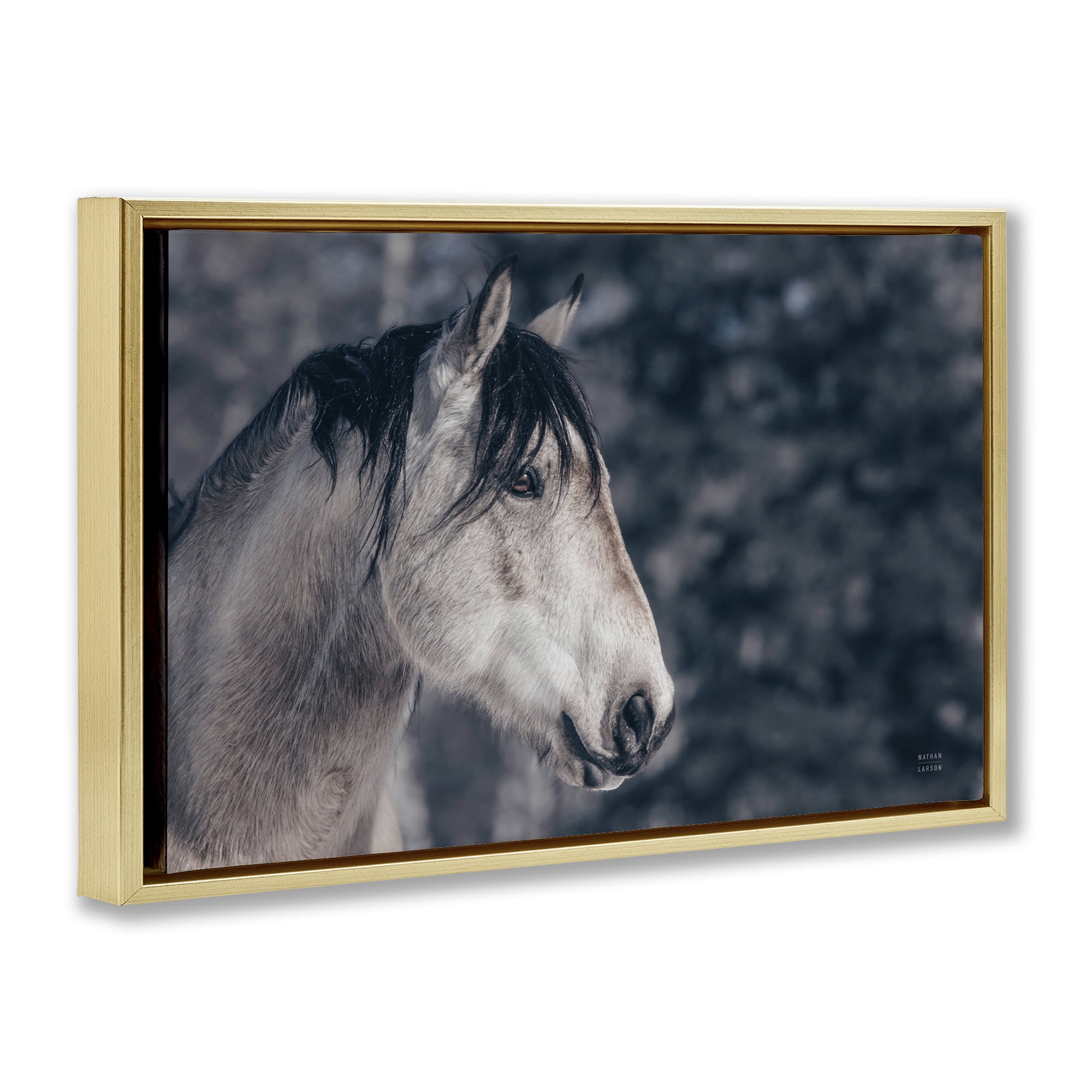 Stupell Industries Intense Gaze Stallion Animals & Insects Photography Gold Floater Framed Canvas Art Print Wall Art, 31 x 21