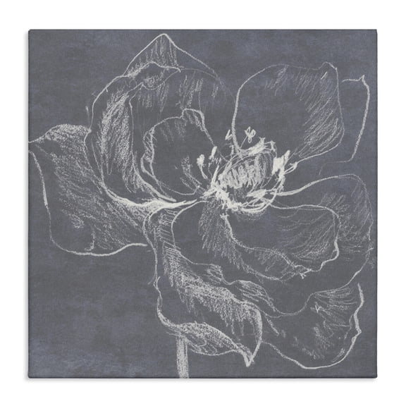 Stupell Industries Transitional Magnolia Doodle Outline Canvas Art, 17 x 17, by Lanie Loreth