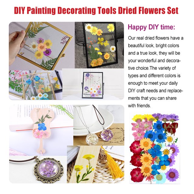 Dried Flowers Set Scrapbooking Decorating Real flower material; Flower Decal Handicraft Filling Pressed Specimen Label for Makeup Phone Use Type 8