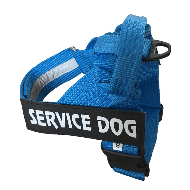 Collar de nailon, relleno de neopreno en el interior, comunica la necesidad de su perro para prevenir accidentes Adepaton Correas y Collares para Perros