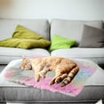 thumbnail image 4 of Lit pour Chat Lavable Lits pour Chats d'Intérieur Lit pour Animaux Design Innovant Chauffage Sûr Surface de Sommeil Confortable Adapté à Toutes les Saisons Espace Confortable Exclusif pour Votre Animal, 4 of 5