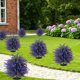 thumbnail image 5 of Artificial Purple Lavenders Ground Plug Patio Decor Spring Summer Outdoor Home Artificial Flower, 5 of 6
