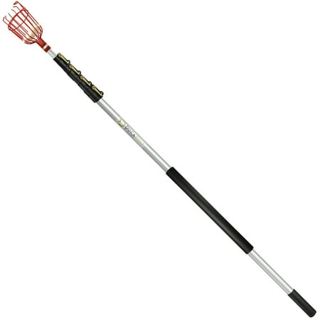 6 Foot Fiberglass Flag Pole DocaPole Fruit Picker with 6-24 Foot Extension Pole - Twist-On Fruit Picker Tool with Telescopic Pole // Fruit Picker Pole // Perfect Fruit Picking Pole for Apple Picking, Avocados, and Other Fruit ()