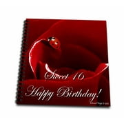 3dRose Ladybug Love Sweet 16 Birthday - Memory Book, 12 by 12-inch