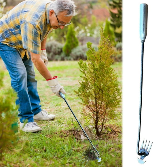 Dvkptbk Weed Outil Extracteur, Outil de Désherbage à Main en Acier Inoxydable pour Jardin, 4 Dents Outils de Désherbage à Double Usage Désherbeur à Main pour le Jardinage