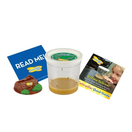Insect Lure - Insect Lore Cup of Live Caterpillars with Deluxe Chrysalis Station log