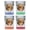 Multicolor (4-Pack), variant on Santa Fe New Mexico Design A Souvenir 2 oz Square Shot Glass Green