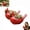 A-2pcs, variant on Cardinal Bird Succulent Planter, Red Cardinal Flower Pot Resin Decorative Bird Planter for Indoor Outdoor Plants, Cute Animal Plant Pot Garden Windowsill Desk Decor Unique Gift