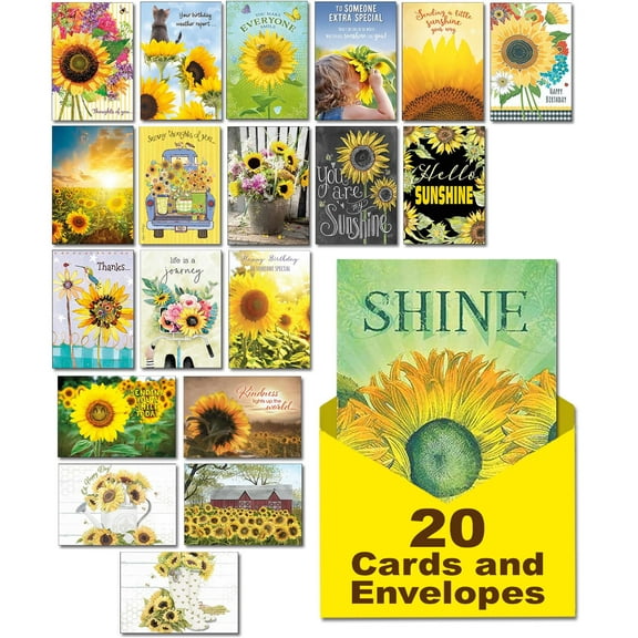 Leanin' Tree, Hello Sunshine, Box of Cards for All Occasions, Assorted Cards with Envelopes All Occasion, (20 Greeting Cards, 22 Colorful Envelopes)
