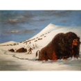 thumbnail image 3 of Catlin, George 18x15 Black Modern Framed Museum Art Print Titled - Buffalo Hunt in Snow Shoes, 3 of 5