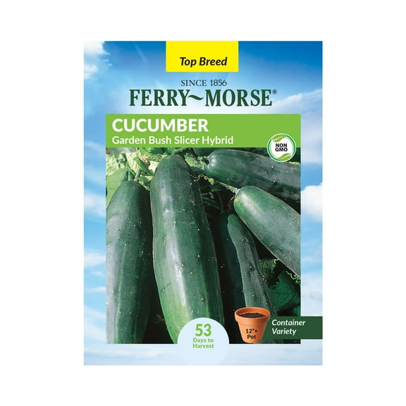 Ferry-Morse 700MG Cucumber Garden Bush Slicer Hybrid Annual Vegetable Seeds, Full Sun
