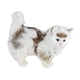 thumbnail image 2 of Figura de gato de simulación, modelo de animal de peluche, coleccionable, decorativo, para casa. Blanco Marrón, 2 of 9