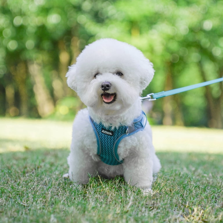 MIDOG No-Pull Dog Harness & Leash Set - Reflective, Padded Step-In Vest For Small To Large Dogs