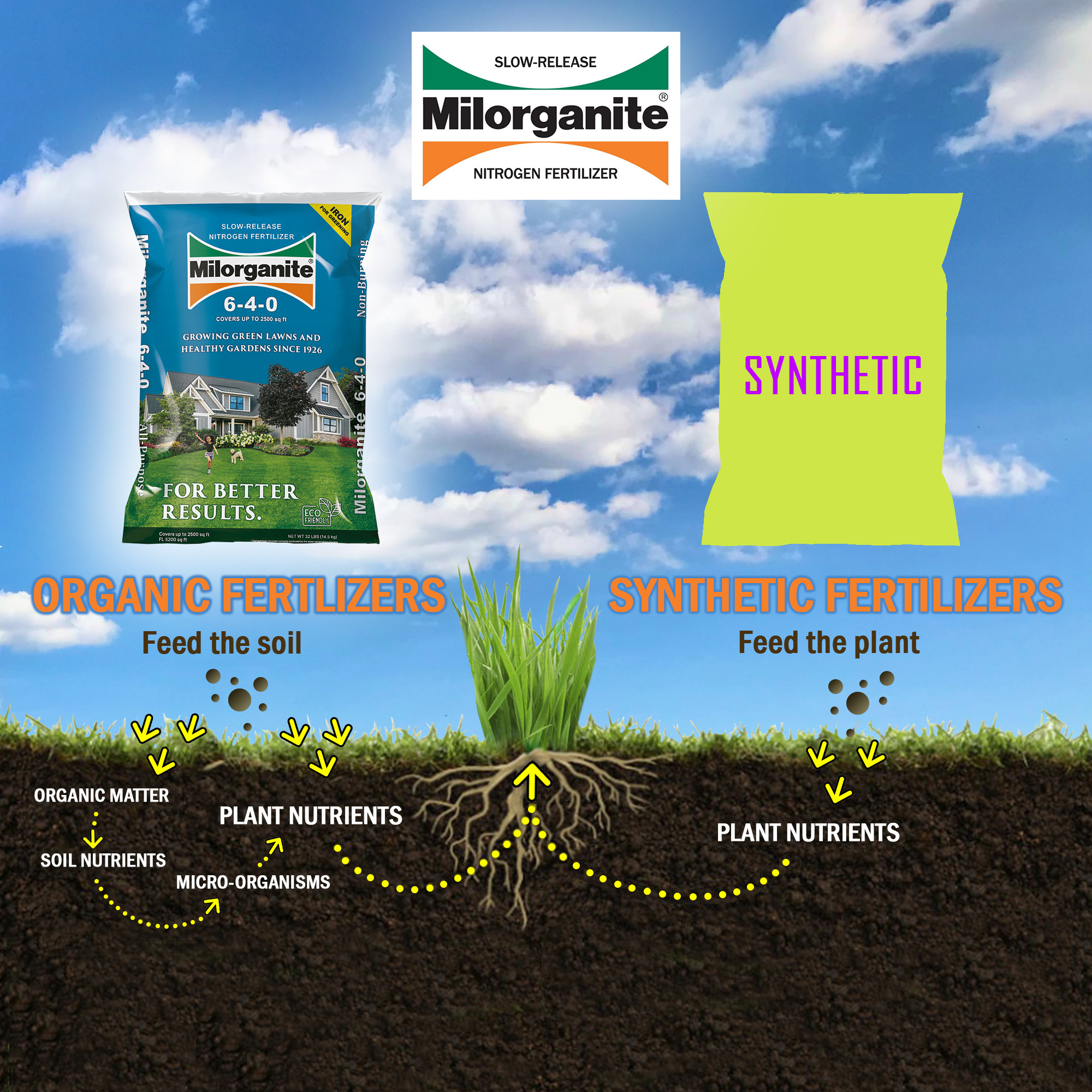 Milorganite Long Lasting All Purpose Lawn Food, 6-4-0 Fertilizer, 32 lb. - image 5 of 5