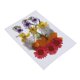 thumbnail image 3 of Bolsa y Hojas para Fabricación de Tarjetas Soledad Decoración de Teléfono Residencial Flores Secas Prensadas Naturales 2 a 3 cm, 3 of 10