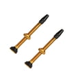 thumbnail image 1 of Eigraketly Paquete de 2 vástagos sin cámara, accesorio DIY, accesorios para ciclismo a prueba de herrumbre, boquilla de Metal, instalación Ciclismo Amarillo, 1 of 6
