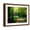 Brown Frame, variant on Art.com Track Leading Through Lanhydrock Beech Woodland with Bluebells in Spring, Cornwall, UK Photographic Print by Ross Hoddinott, 32" x 24"