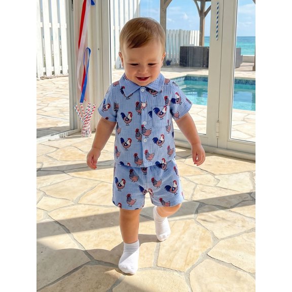 Cenuakty 2Pcs Toddler Boy Outfit 4th of July Tops and Elastic Waist Shorts