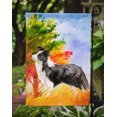 thumbnail image 3 of Carolines Treasures CK1955GF Fall Border Collie Garden Size Flag, 3 of 3