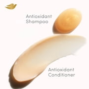 Dove Damage Therapy Conditioner Repairs 99% of UV Hair Damage UV Repair & Glow With Ferulic Serum 18 fl oz