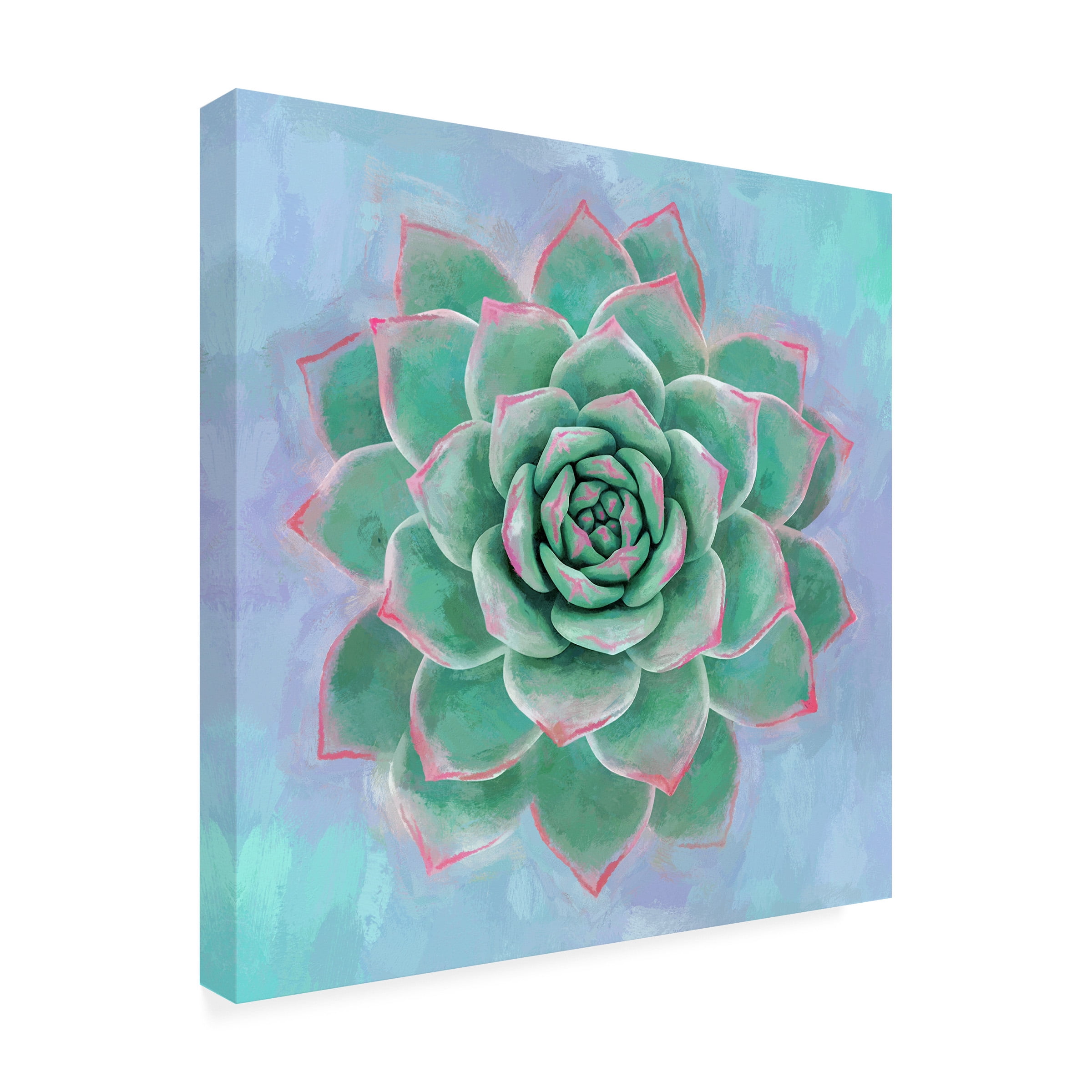Cora Niele 'Succulent Painting' Canvas Art