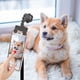 thumbnail image 5 of Mascota selfie stick con clips de alimentos clip-on 360 grados rotación fotografía entrenador foto entrenamiento herramientas accesorios suministros negros, 5 of 7