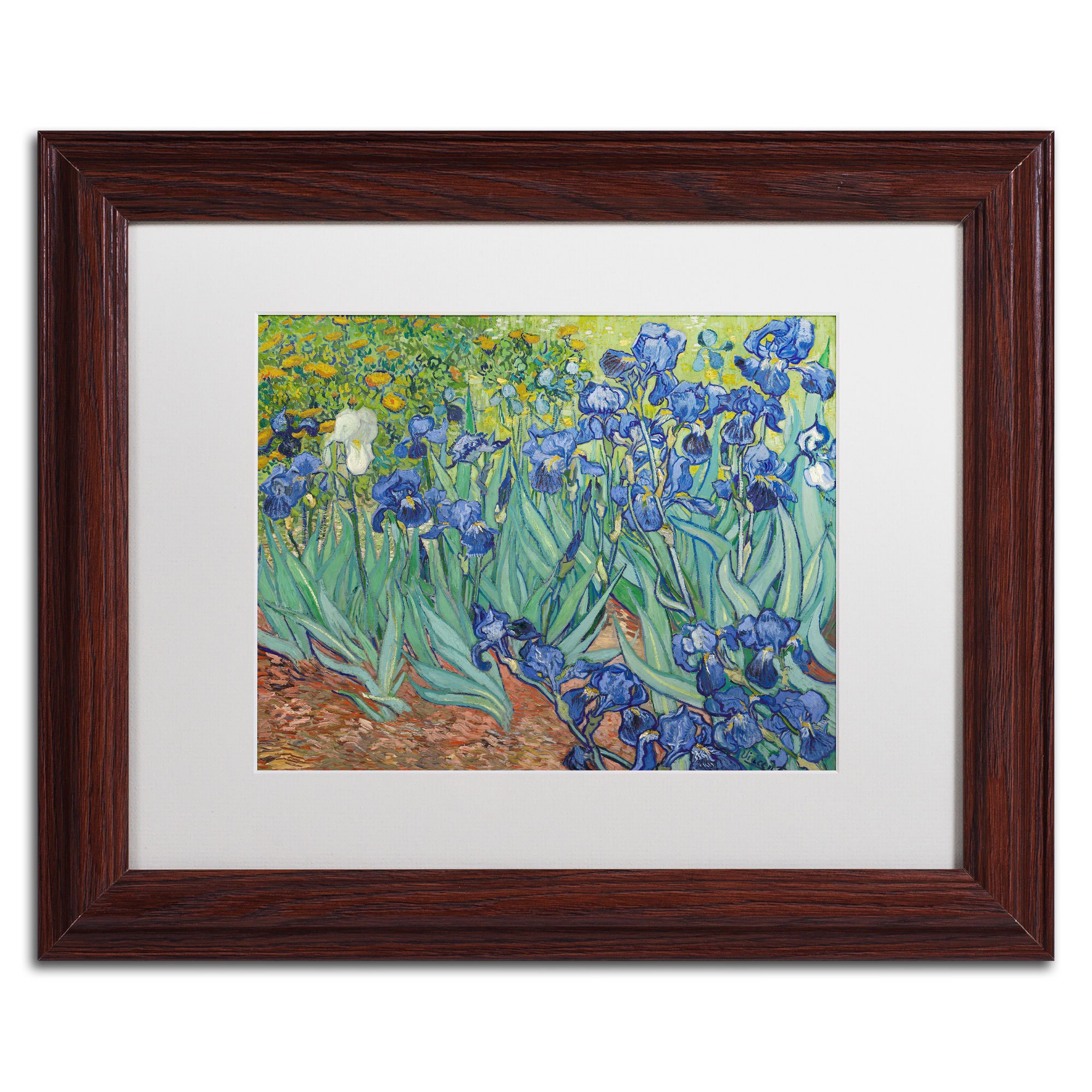Trademark Fine Art "Irises, 1889" Canvas Art by Vincent van Gogh, White Matte, Wood Frame