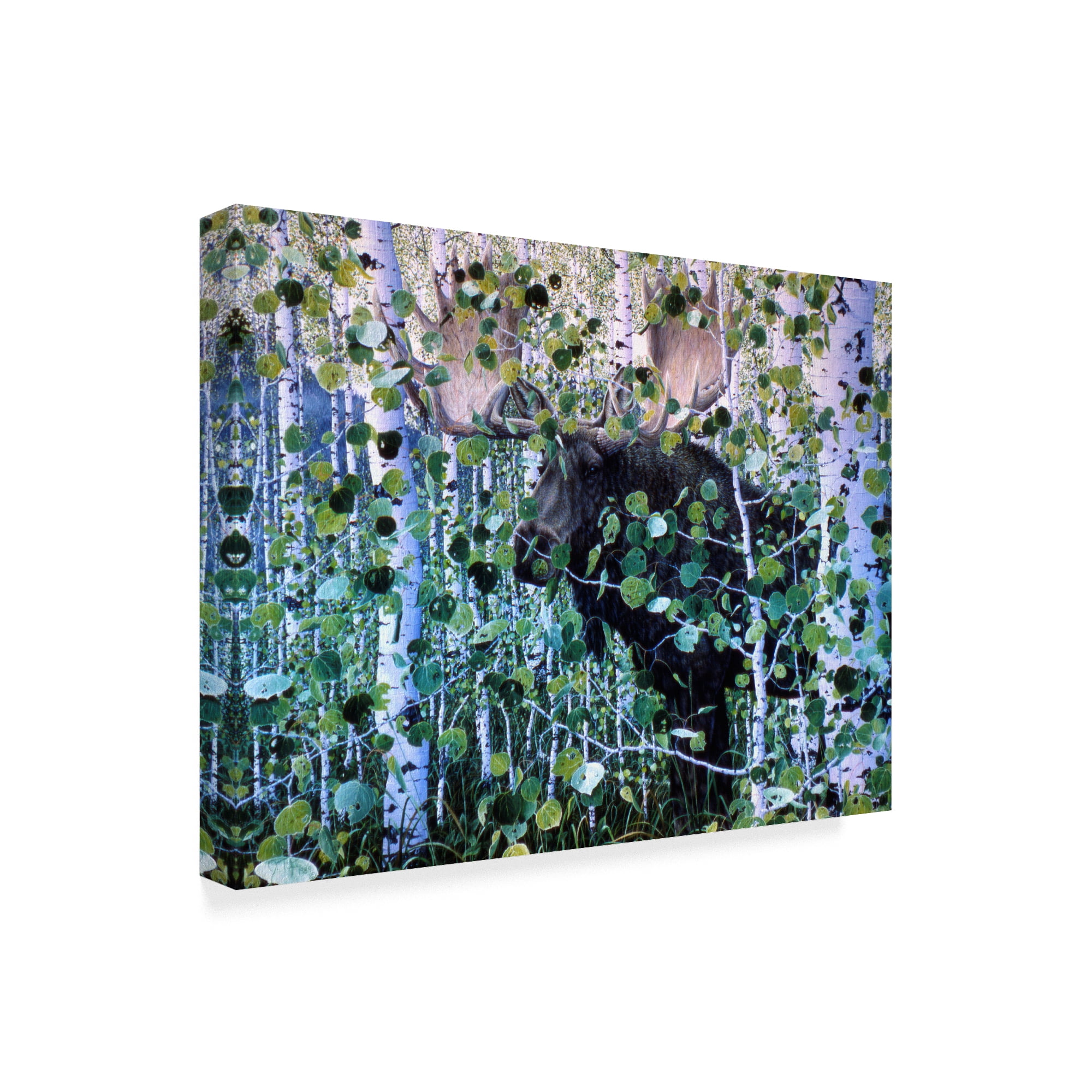 Trademark Fine Art 'Moose Hiding' Canvas Art by Jeff Tift