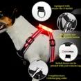 thumbnail image 2 of LED Dog Harness Pet Rechargeable Adjustable Flashing Waterproof Collar Night Anti-Lost Dog Light Harness Luminous Dog Collar (7 Colors,XXL), 2 of 6