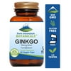 Ginkgo Biloba Capsules with 400mg Organic Ginkgo Biloba Leaf and Extract, Nature's Brain Supplement, Kosher Vegan, 90 Caps