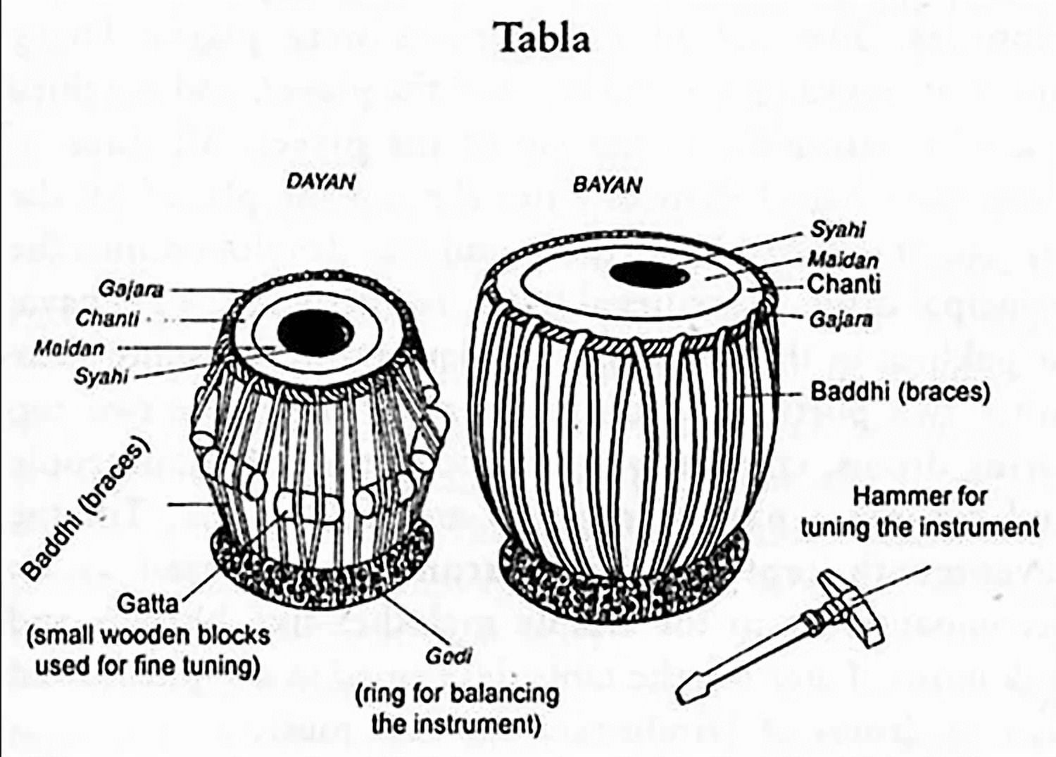 Zaza Percussion - Indian Tabla Drum Set - Brass Bayan Tabla Drum Set, Finest 5.5 Wood Dayan with Book, Hammer, Tabla Cushions and Cover - Indian Musical Instrument