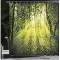 thumbnail image 4 of Ambesonne Forest Shower Curtain, Scenic Morning in Nature, 69"Wx84"L, Green, 4 of 5